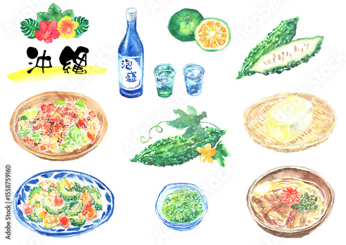 沖縄グルメの水彩イラストセット – ソーキそば・ゴーヤチャンプルー・タコライス・泡盛など