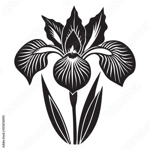 Stylized black iris flower isolated on white background

