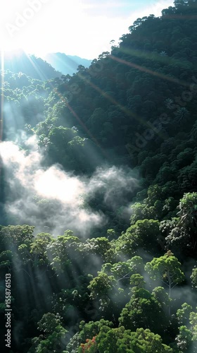 Aerial View of Lush Green Tropical Rainforest Canopy with Sunlight Through Misty Fog Creating Mystical Jungle Atmosphere in Pristine Natural Environment for Eco-Friendly Travel and Adventure Tourism