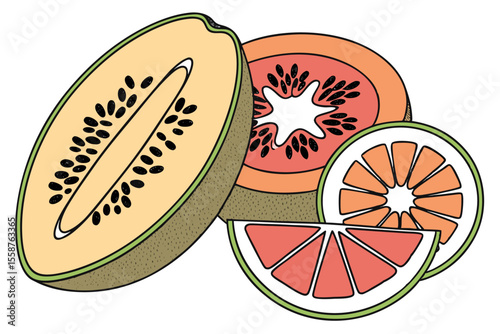 Sliced Fruit Infographic Vector Set Detailed Inside Views and Cross Sections