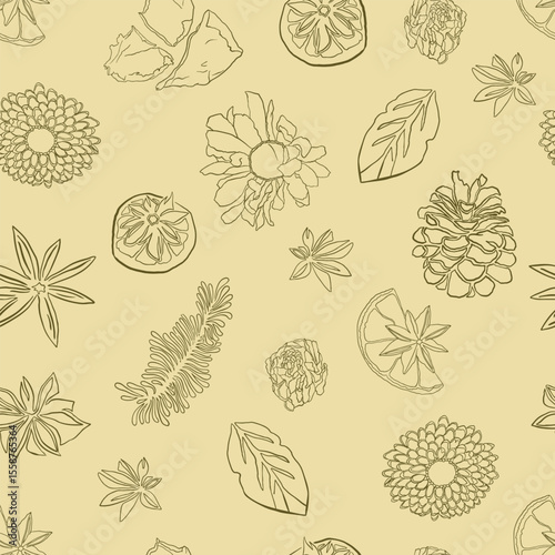 A seamless vector pattern featuring botanical line art illustrations including pinecones, citrus slices, flowers, leaves, and star anise on a beige background. Ideal for packaging, home decor, textile
