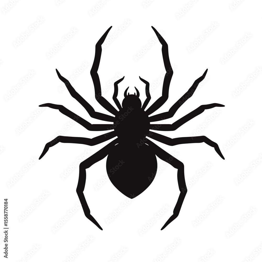 Obraz premium Black spider silhouette on white background, Halloween decoration icon