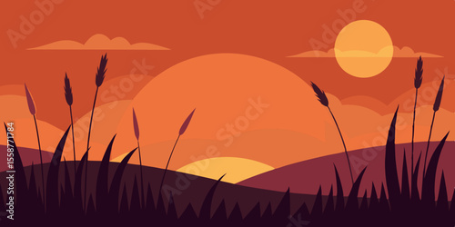 sunset in the field