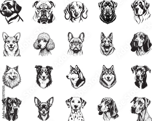 Dog Breeds Portrait Collection: A diverse collection of meticulously drawn portraits showcasing the unique character of various dog breeds.