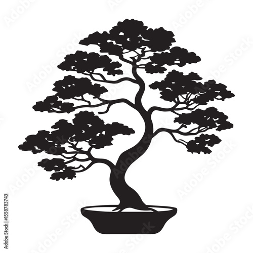 bonsai tree isolated on white