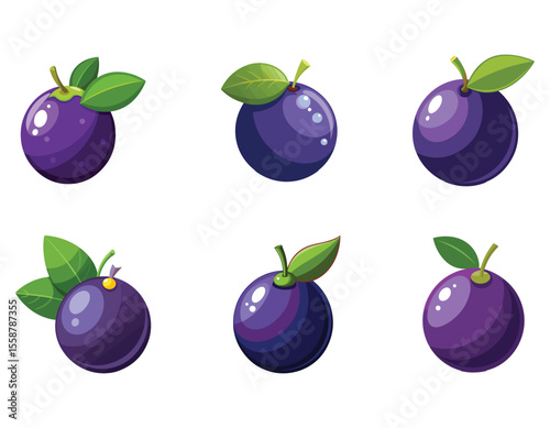 set of plums isolated on white