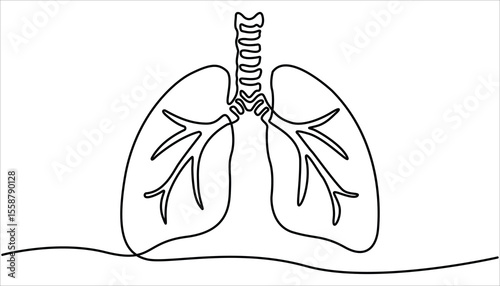 Anatomical human lungs organ Continuous one line drawing illustration. abstract line art illustration. Simple continuous one line drawing of human lungs. Doodle line illustration.
