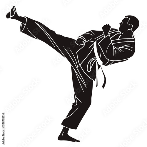 Powerful Karate Kick: Martial Arts Silhouette
