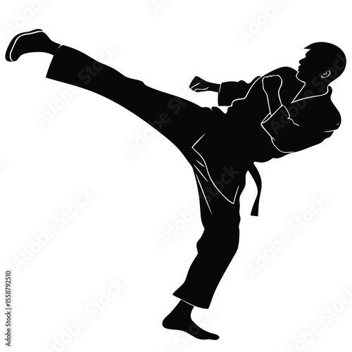 Martial Arts Silhouette: Powerful Karate Kick, Self-Defense, Combat Sports, Fitness, Action, Dynamic Pose