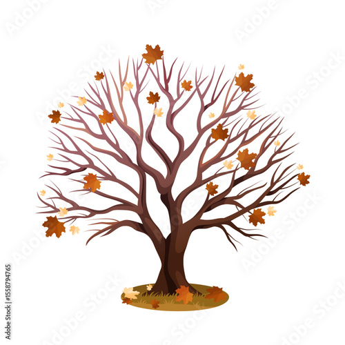 Naked maple or autumn tree with fallen leaves. Vector symbol for seasonal nature and forest in the fall. Wood and natural flora. Woodland wildlife without leaf. Ecosystem element. Biology and botany.