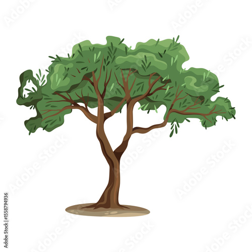 Garden or orchard olive tree. Vector fruit flora or Mediterranean plant. Farm cultivation and botany, biology symbol. Sign for nature landscape or scenic outdoor view. Wild ecology and agriculture.