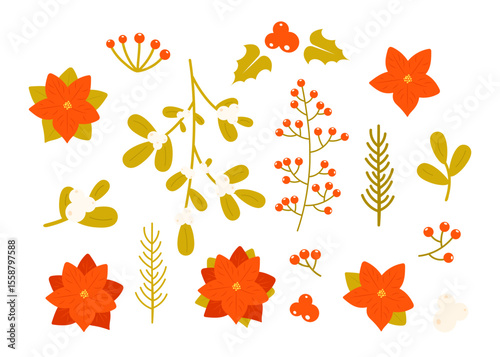 Set of Christmas plants, berries, flowers and leaves isolated on white background. Holly berry, mistletoe, Christmas tree branch, Poinsettia. Traditional winter holiday plants. Vector illustration