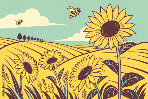 field of sunflowers