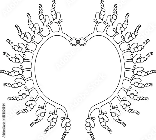 Coloring page with scheme of septal nephridial system of Pheretima earthworm for biology lesson. Diagram of excretory system of earthworm