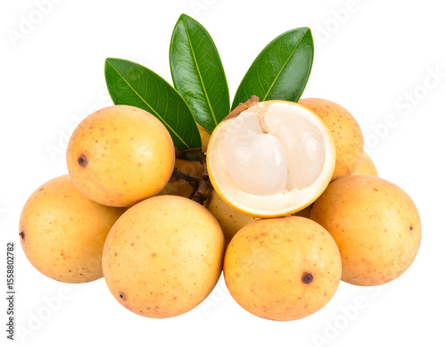 Freshly harvested tropical longan fruits with vibrant green leaves and a succulent cut open piece ready to eat.