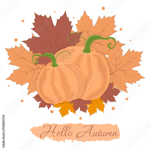 Happy, Autumn, Hello, fall leaves, pumpkin, vector illustration, white background, leaves, yellow, red, green, yellow, brushes, strokes, seasonal, nature in motion, vector design