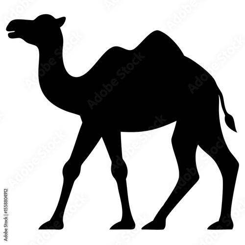 camel in desert