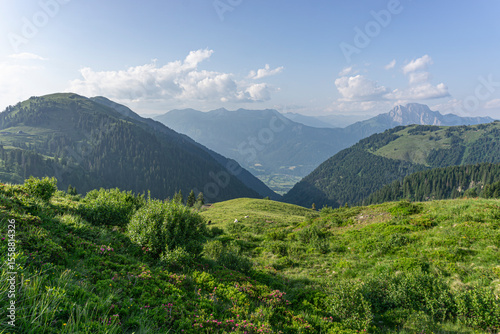 Almwiese mit Kühen, Einschnitt zwischen zwei Bergen gibt Blick ins Tal und auf die Berge dahinter frei, Österreich, Kärnten, Gailtaler Alpen, Gailtal