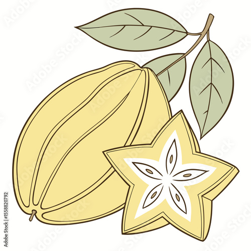 Starfruit Cross Section Illustration – Tropical Yellow Star-Shaped Fruit Vector

