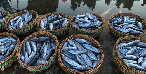 Obraz na plátne Fishermen's catches are organized and ready for export