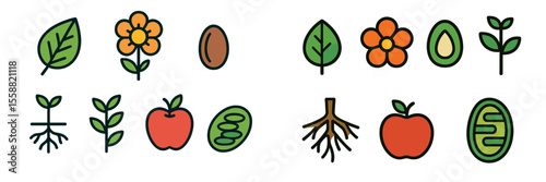 Colorful plant and fruit illustrations showing growth stages and types in a simple, modern style on a white background