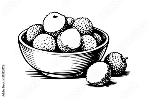 Lychee vector engraving style illustration