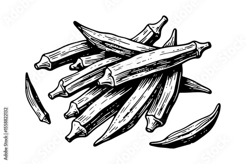 Okra vector engraving style illustration