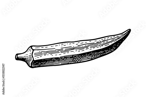 Okra vector engraving style illustration