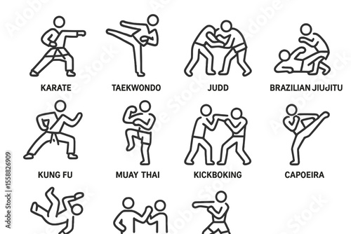Martial arts: karate, taekwondo, judo, brazilian jiu-jitsu, kung fu, muay thai