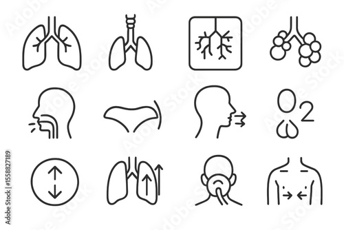 Simplified respiratory system icons: lungs, diaphragm, breathing, oxygen, airflow