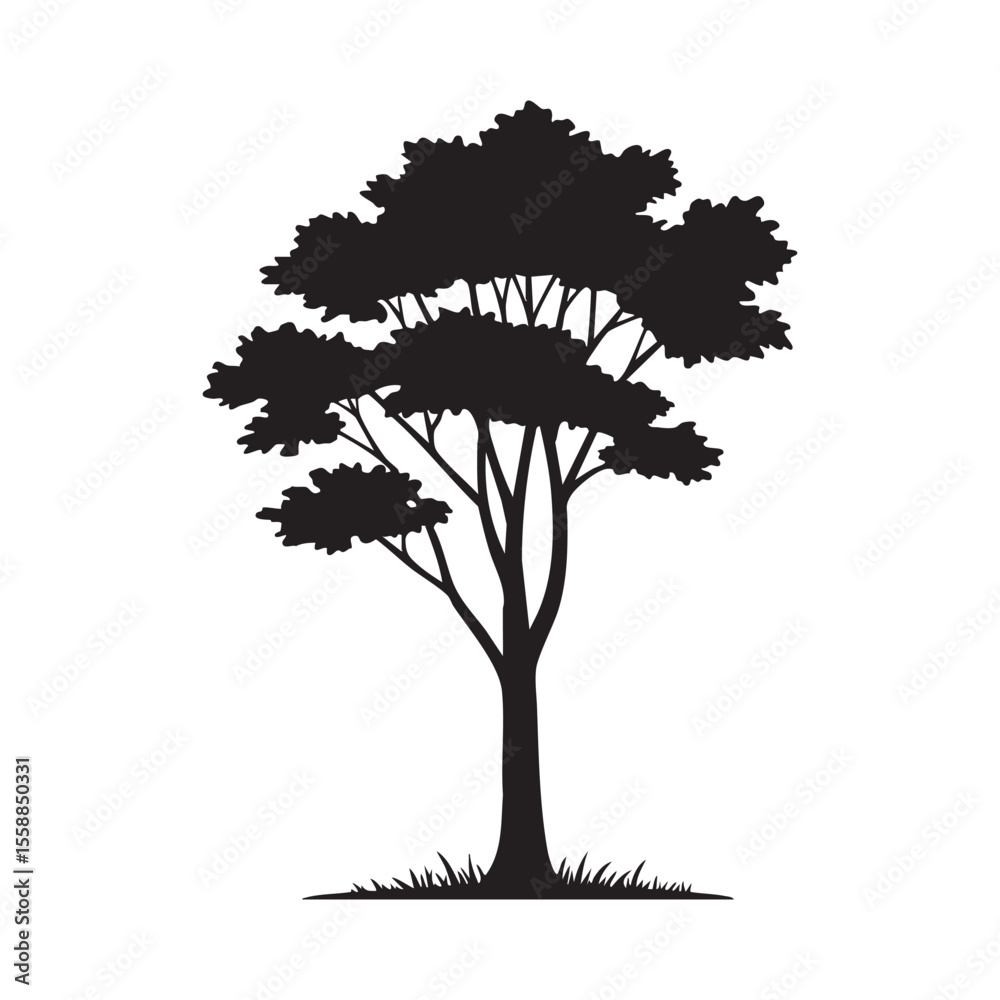 Fototapeta premium Solitary Tree Silhouette with Lush Foliage and Grass Details