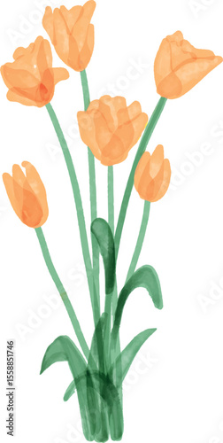 orange tulips bouquet flower, watercolor art, hand made