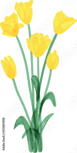 bouquet of yellow tulips, watercolor vector