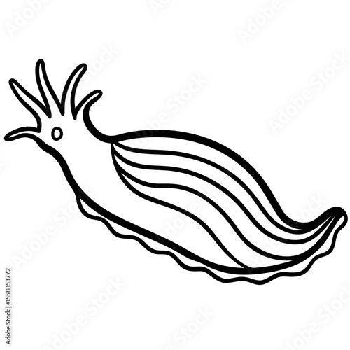 Sea Slug Linear Art