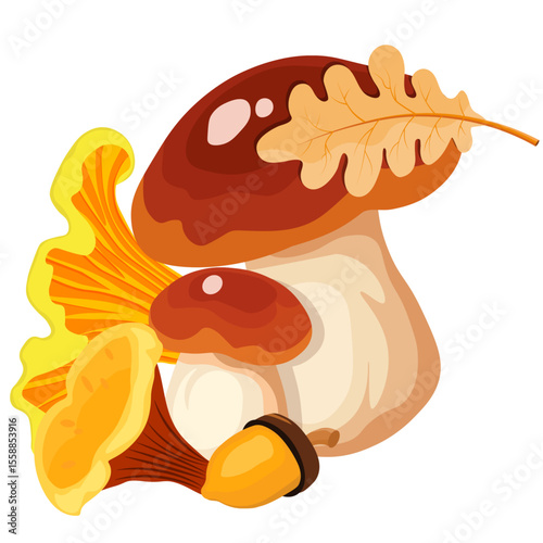 mushrooms and acorn with oak leaves without background