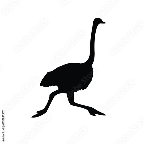 ostrich bird running silhouette design.