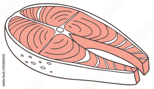 raw salmon steak