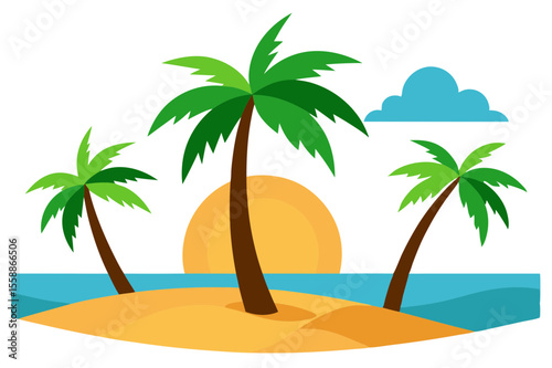palm tree on the beach
