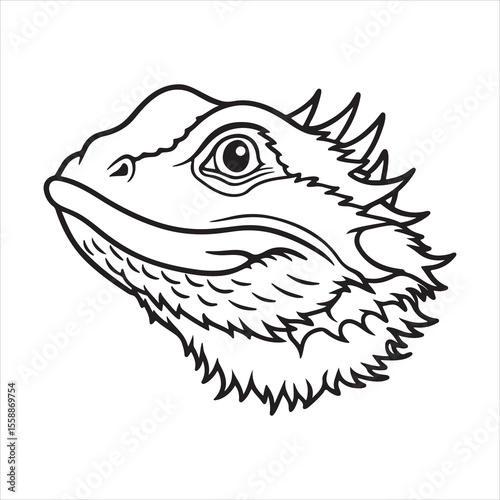 Bearded Dragon – Exotic Desert Lizard with Attitude