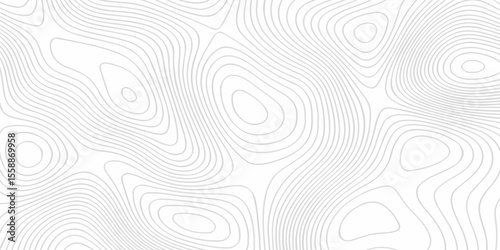 abstract background vector topography illustration geography sea map lines. contour seamless line pattern ornament topographical curve landscape wallpaper.