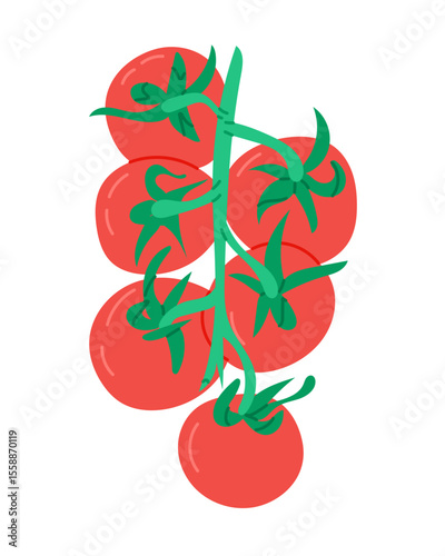 Tomato branch with ripe red tomatoes and green stems in flat style illustration. Represents freshness, organic food, and healthy summer vegetable concept