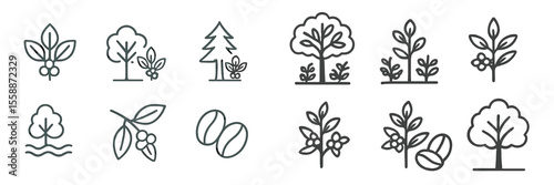 Botanical line art collection showcasing trees, leaves, and coffee beans in minimalist design