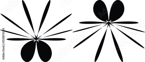 Abstract black and white floral designs symmetrical patterns