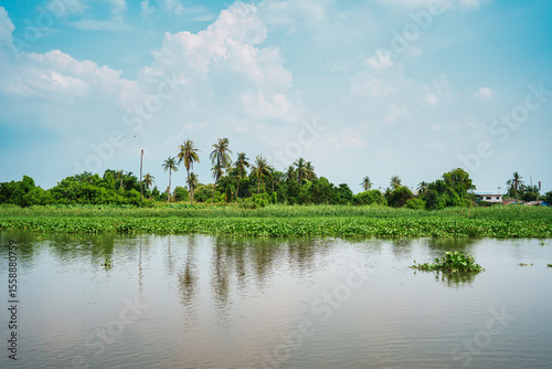 Serene water canal with lush green plant reflection on daylight photo