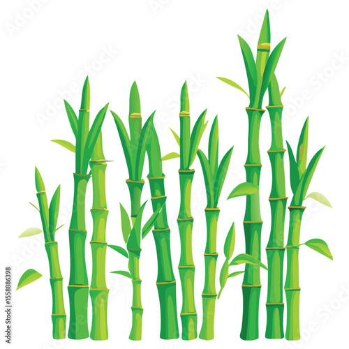 Fresh green bamboo stalks and leaves illustration for graphic design and nature inspired creative projects