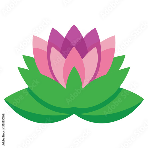 lotus flower vector illustration
