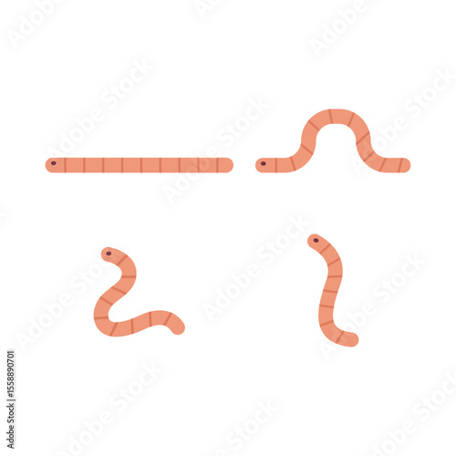 Worm Icon Set Vector Design.