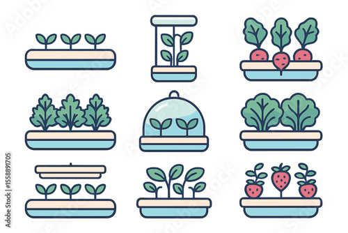 Gardening illustrations featuring various plants in containers showcasing growth stages