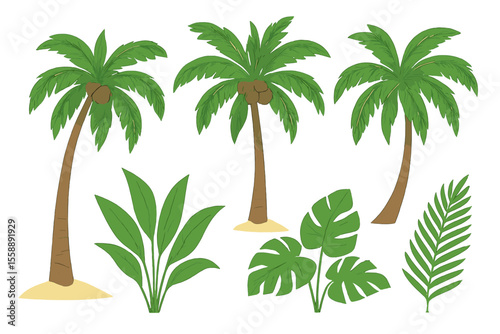 Tropical foliage featuring palm trees and lush green leaves in a sunny environment with a tranquil atmosphere