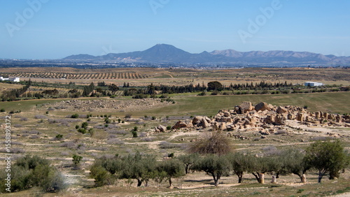 Olive trees growing around a pile of stone blocks in the ruins of the Roman city of Oudna, Tunisia